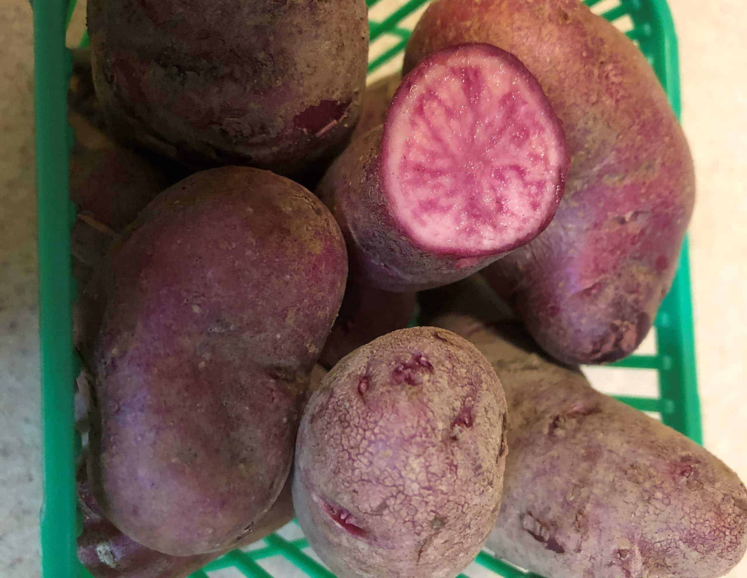 Amarosa potatoes: red flesh finger potato