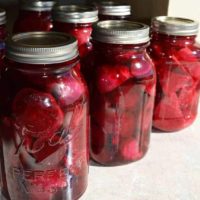Sweet tender curly kale Pickel Beets 500ml