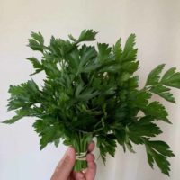 3-4 deep purple and brown velvetty bearded irises wrapped in parchment paper. Parsley - flat leaf, italian