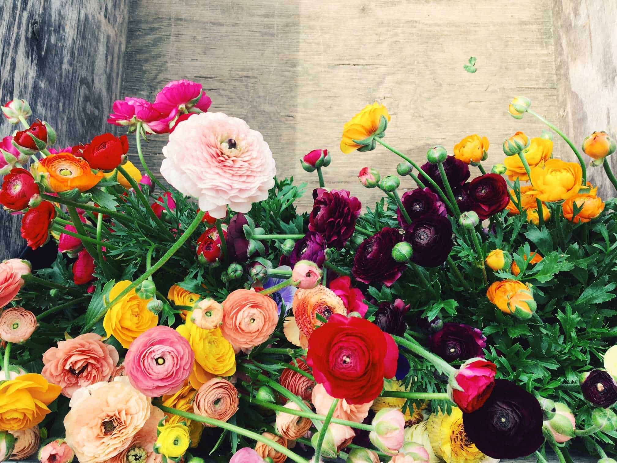 Small bunch (4-6 stems, varying sizes). Wrapped in parchment paper. Ranunculus Flowers - farmers' choice colours