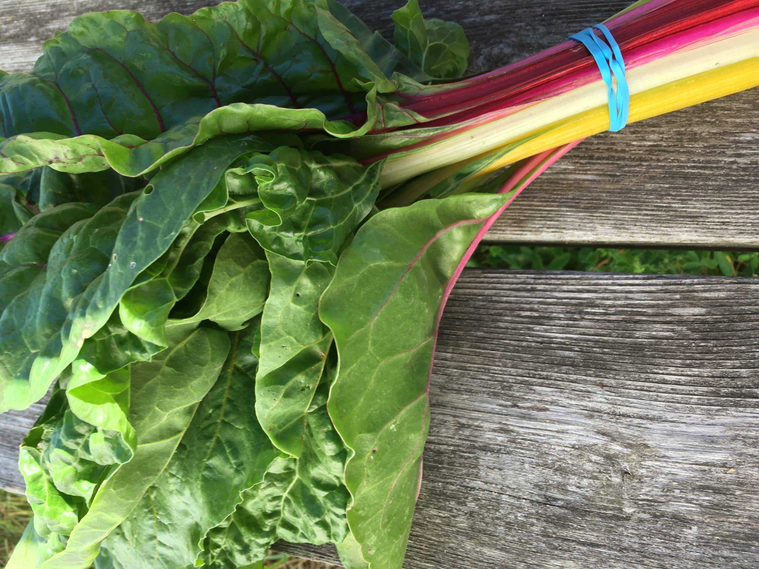 A rainbow on your plate. Swiss Chard