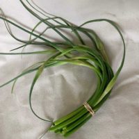unblanched incredibly long thin stalks. tender and sweet Young Garlic Scapes - 3 bu