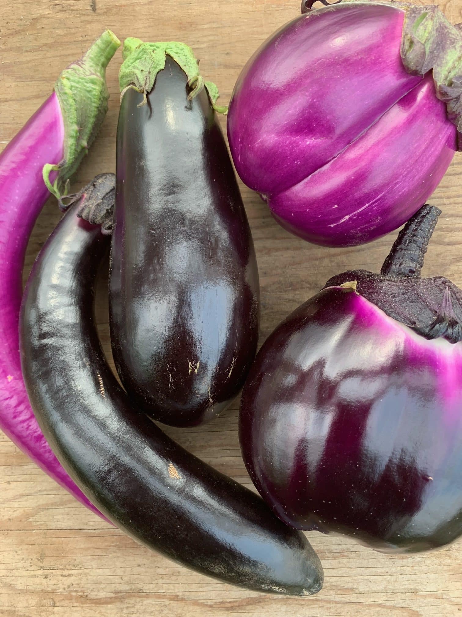 Mixed variety, farmer's choice 1lb+ Eggplant