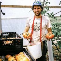 one nice bunch aromatic and sweet 1lb+ slicing tomato