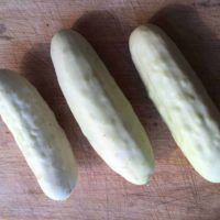 Pretty white bulbs with green tops. Cucumber (white)