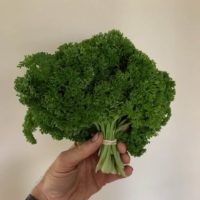 Sweet wax beans! Parsley - curled