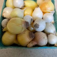Pickling onions
