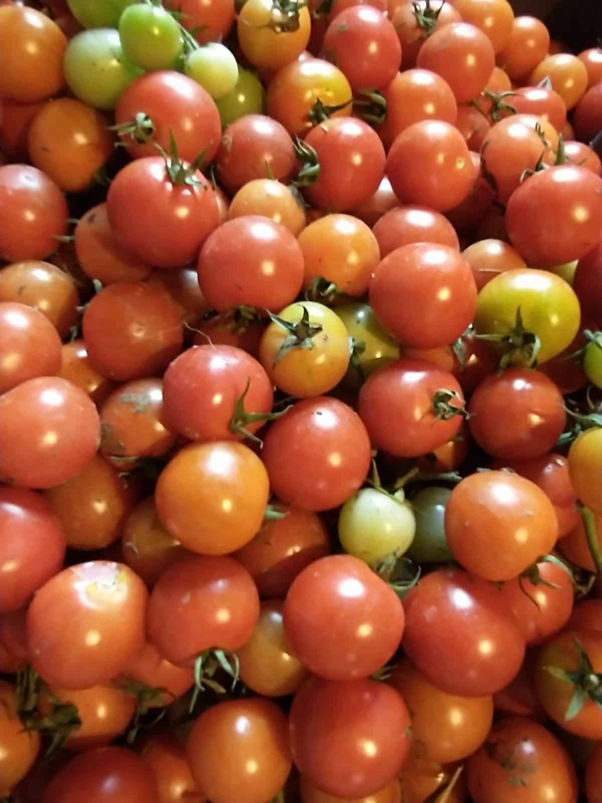 Cherry tomatoes pint