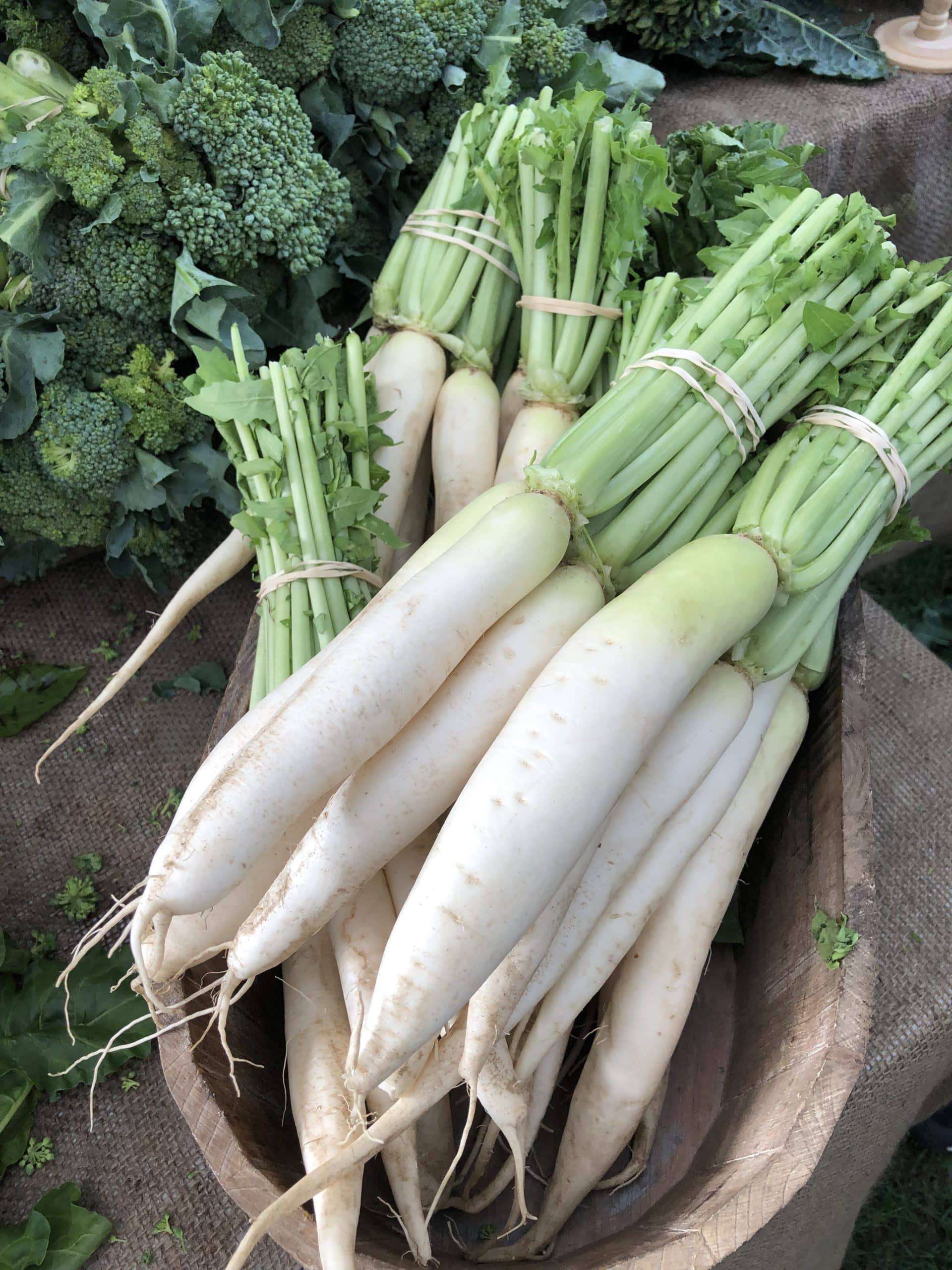 Wonderful soup addition, or just sliced with sea salt. Daikon Radish