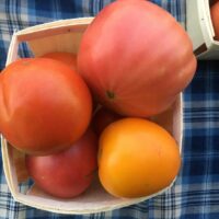A mix of sweet miniature red, yellow and grren peppers, perfect for stuffing or snacking on. Heirloom Tomatoes