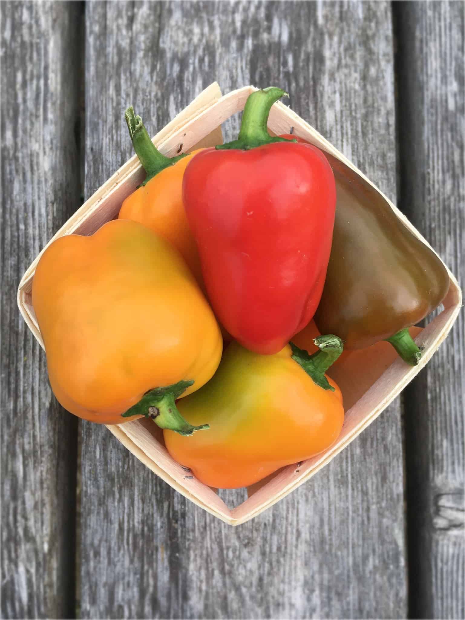 A mix of sweet miniature red, yellow and grren peppers, perfect for stuffing or snacking on. Mini Bell Peppers