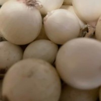 Bean Trio, purple, yellow, green bean, purple may turn green if over cooked Pearl onions