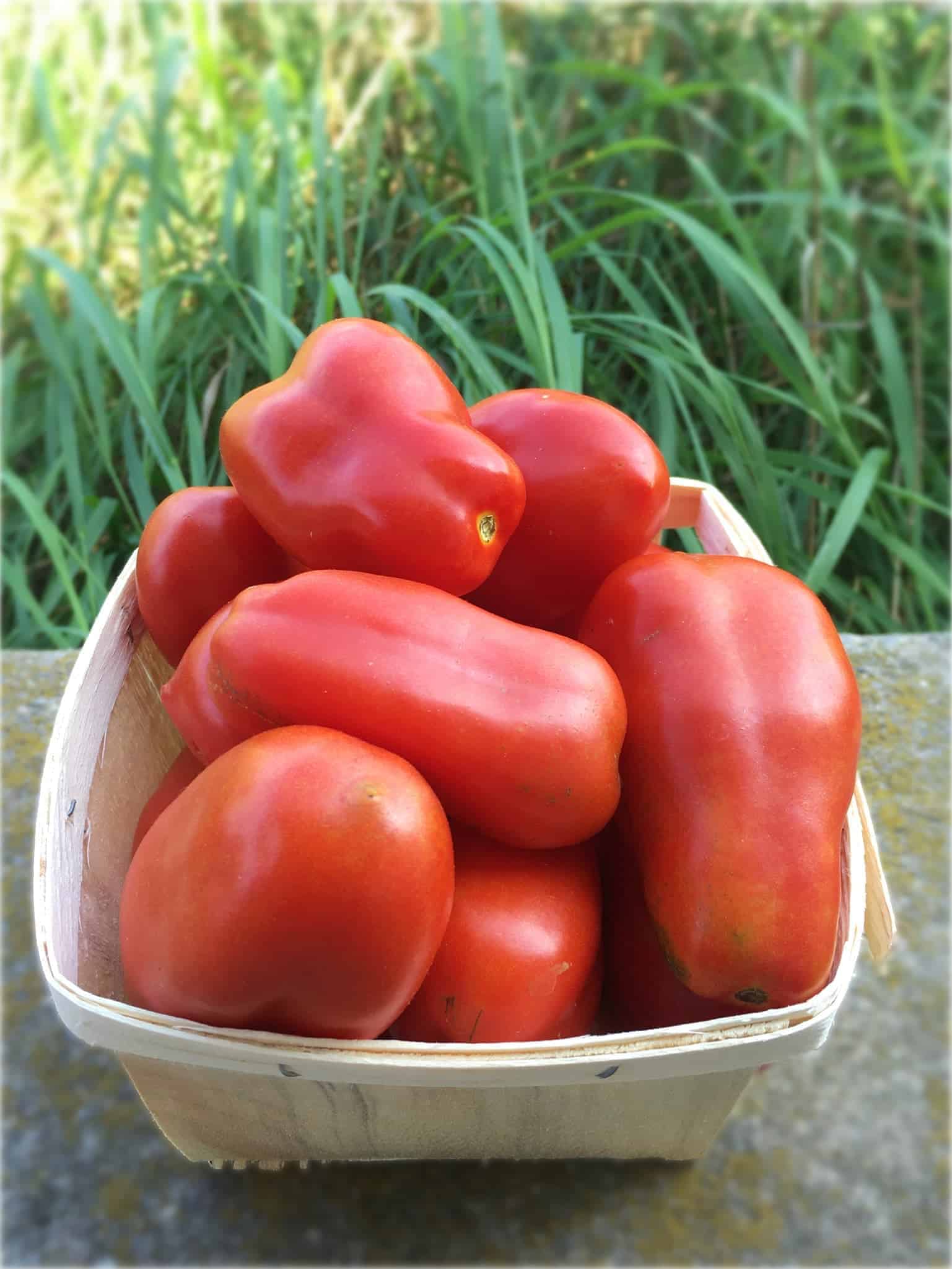 San marzano tomatoes (quart)