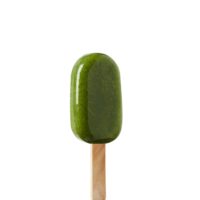 Tropical ice lollies (6)