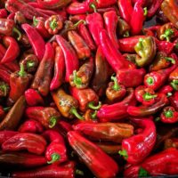 BULK Red Shepherd Peppers