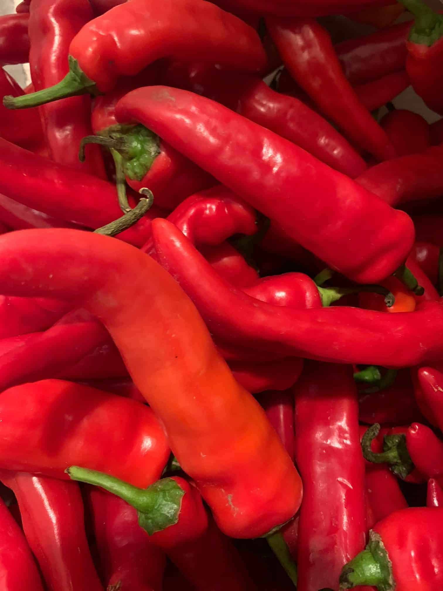 Hot red chili pepper. 2 for $1 Long Cayenne Pepper (2)