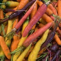 White pearl onions, suitable for pickling, stews, roasting and storage sold by pint Rainbow Carrots