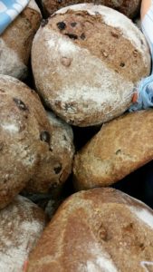 Sourdough loaves