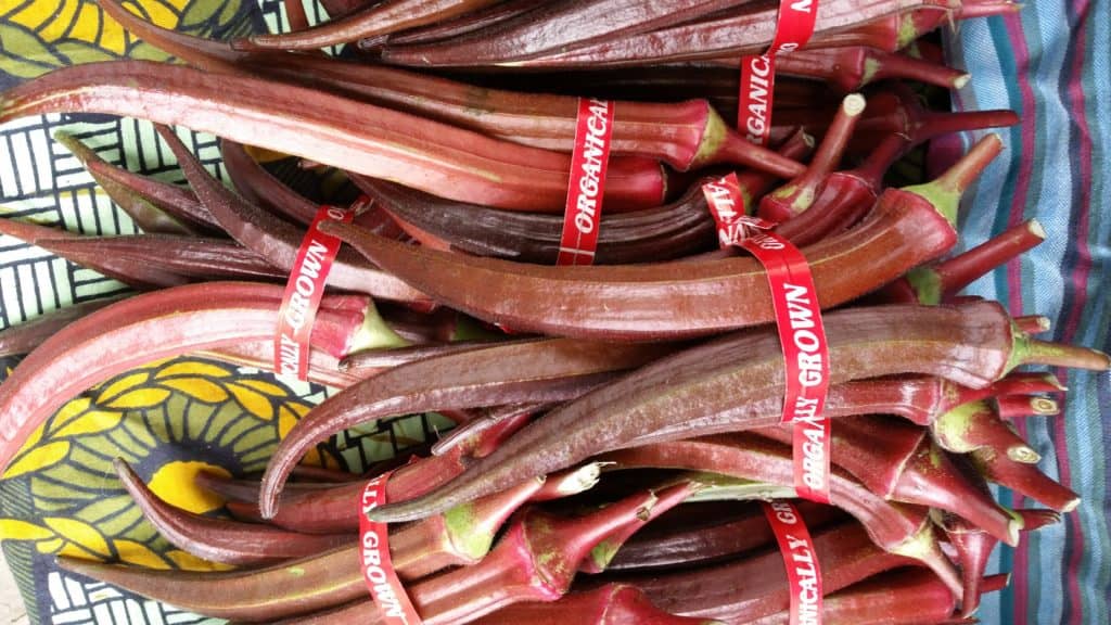 The ujamaa farm collective has beautiful red okra right now.