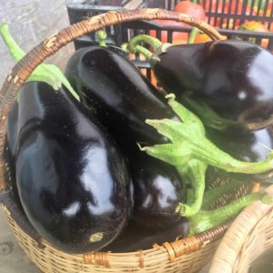 Eggplants ahoy