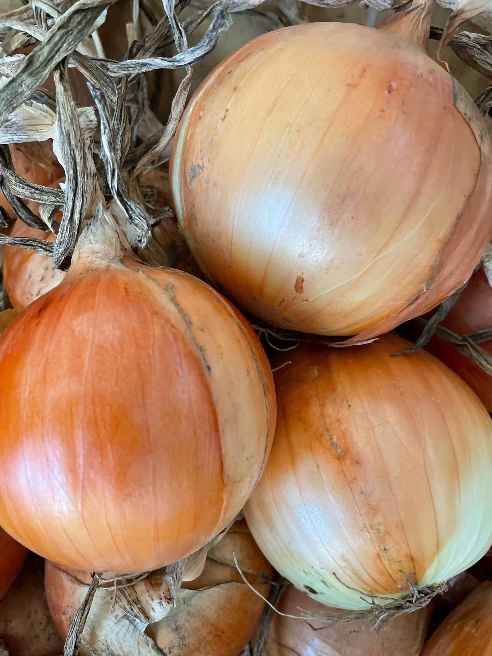 Sweet yellow Spanish onion, raw or cooked Large yellow Spanish onion