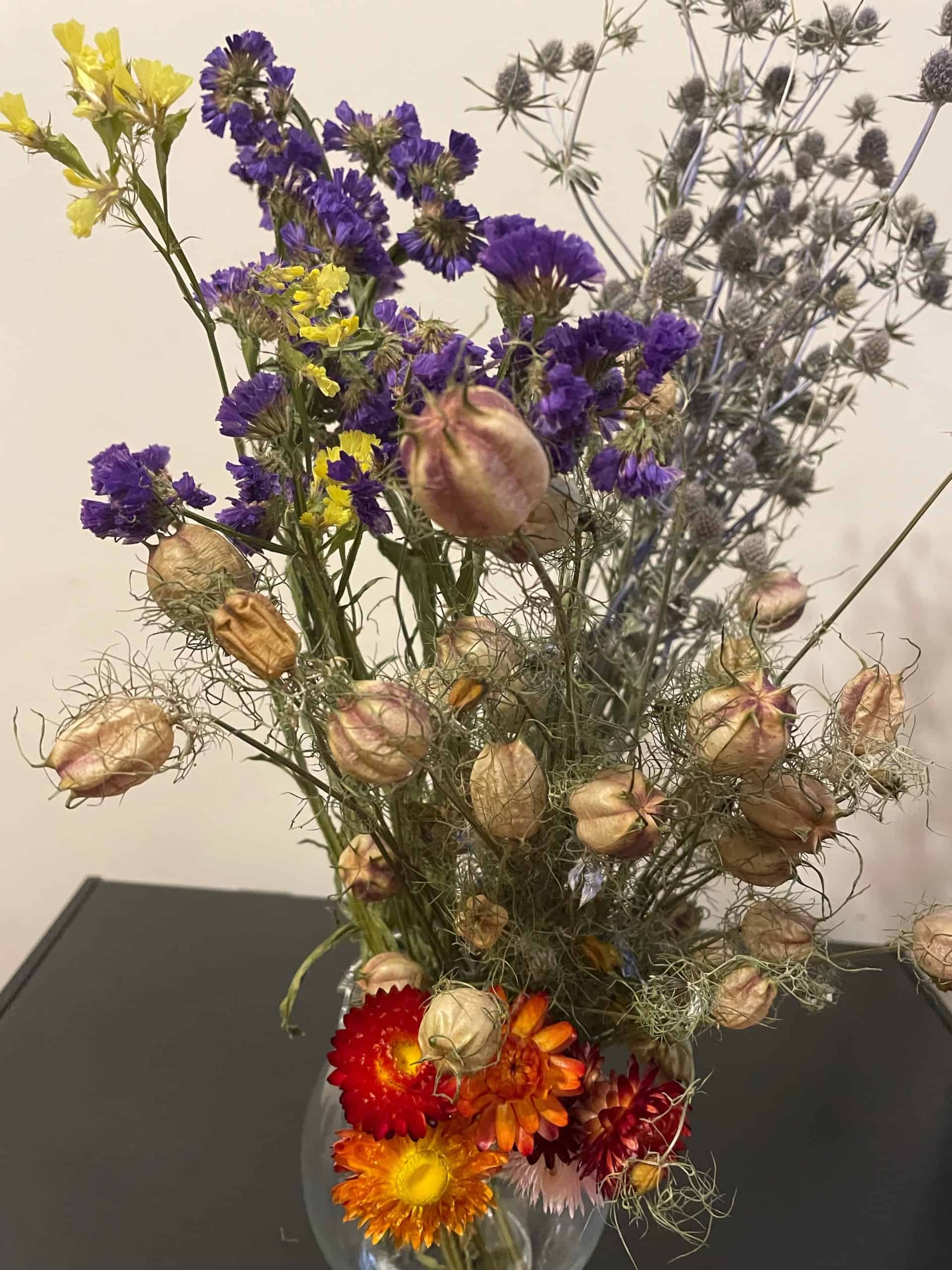 Dried flowers from our farm, statice, sea holly, straw and nigeria pods Dried Flower Bunches scaled Dried flowers from our farm, statice, sea holly, straw and nigeria pods