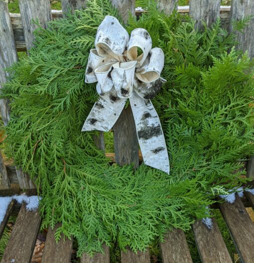 16 inch wreath / birch bark pattern bow / cedar