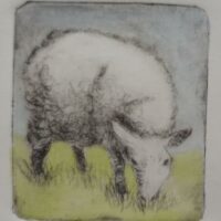 Hand pulled intaglio print - border leicester