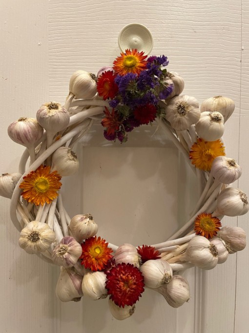 Flowering garlic wreath scaled our music garlic on a twig base 10 inches, nice on the kitchen door or table