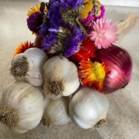 Flowery garlic this is a perfect gift for teachers, caregivers, pet-sitters, hosts, and anyone else you want to thank! Shelf stable so you can get your shopping done early.