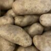 Cert. organic - our own! French Fingerlings, Violetta Blues and LaBella Reds! 3lbs. Large White Potatoes scaled Cert. organic - our own! French Fingerlings, Violetta Blues and LaBella Reds! 3lbs.