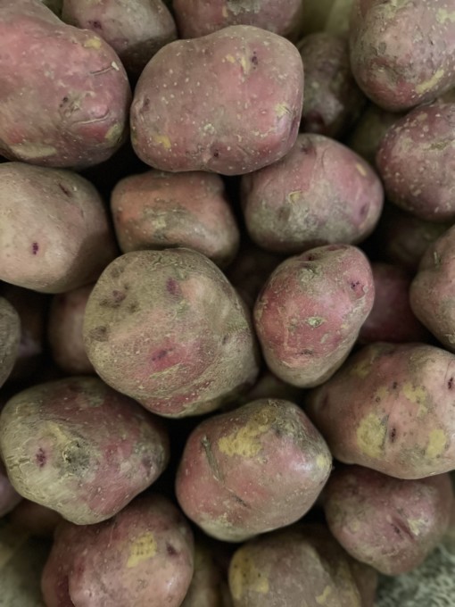 Red potatoes scaled we saved the best for last an all purpose potato perfect size and taste for baking