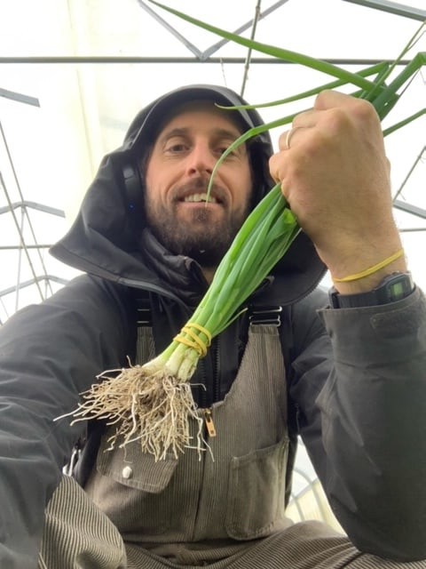 Bunch of scallions/green onions. Linving Soil grown Scallion rotated Bunch of scallions/green onions. Linving Soil grown