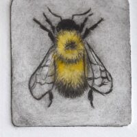 Hand pulled intaglio print - bumble
