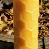 Beeswax Candles HoneyComb Pillar (12oz)