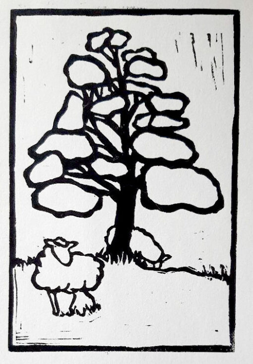 Lindenprint an original, black and white open edition created and hand-pulled print by jennifer. Mounted on an 8x10 backing board. A living fence is the deliberate planting of trees at the edge of livestock pasture. These fences are intensively managed for both forest products and forage, providing both short- and long-term income sources, wind mitigation, wildlife habitat and natural corridors. Hedgerow species can be similar, if not the same as many silvopasture species making our future hedgerows a nursery for future silvopastures. Species chosen will be native to ontario and beneficial to people, animals, and the ecosystem. Basswood: this north american native was used for centuries for its fibrous inner bark and fragrant flowers. It bears unique flowers and large, heart-shaped leaves. The tree is stately as a single specimen or when it is allowed to form a clump. Unless suckers are removed from the base of the tree, a clump of small trees rather than one large tree will form. Bees love basswood flowers because they bloom in midsummer, when few other trees are in bloom. The basswood is one of the lightest hardwoods and its odourless wood ensure its useful for many different purposes. A bath with basswood flowers combined with a tea made from the same flowers is supposed to cure cold symptoms and act as a sleep aid. Although rabbits are a major pest to the american basswood, it is still planted quite often as an ornamental due to its fragrant flowers and sizeable leaves.