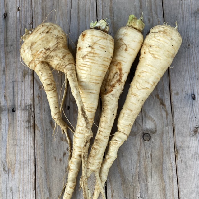 Certified Organic Parsnips, 2lbs