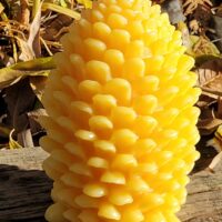 Beeswax candles pine cone (14oz)