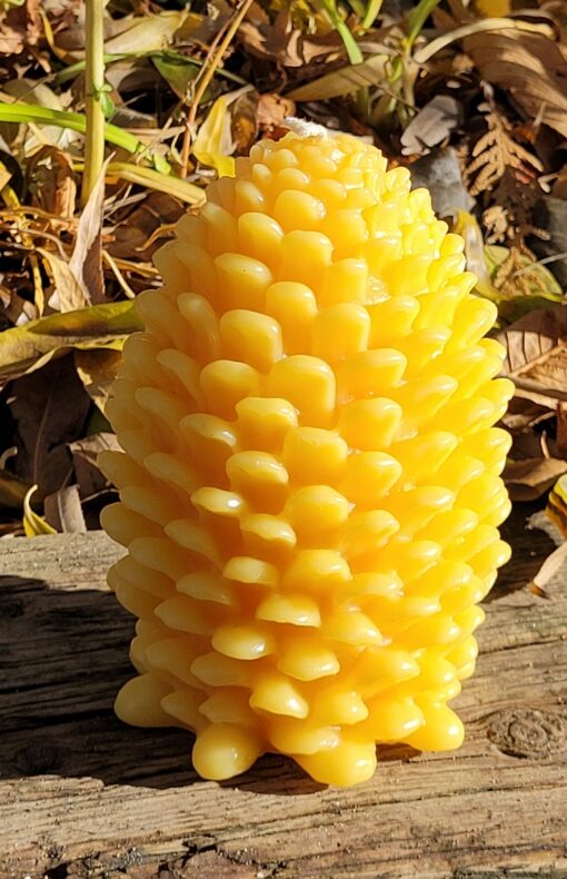 Pinecone candle pure 100% beeswax. Researches show that burning beeswax produces negative ions which neutralize odors and purifies the air.
