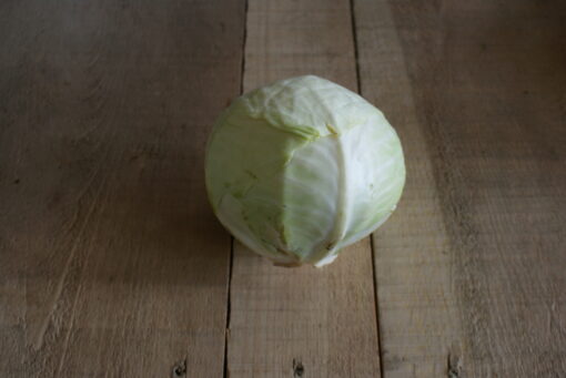 Small green cabbage