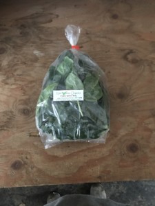 Spinach, 100g