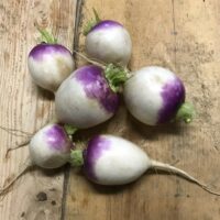 Turnips, 2lbs