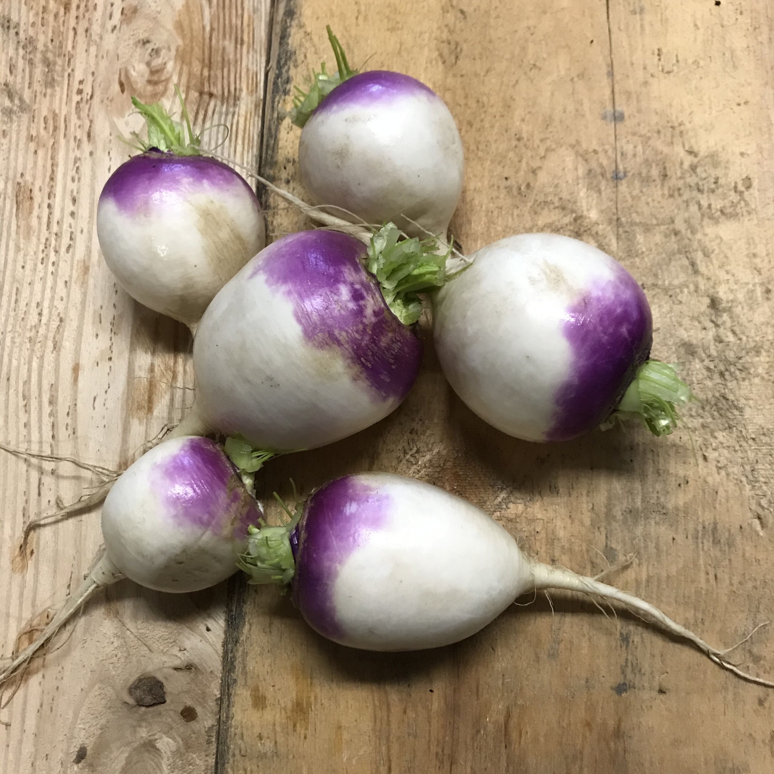 Certified Organic Turnips, 2lbs