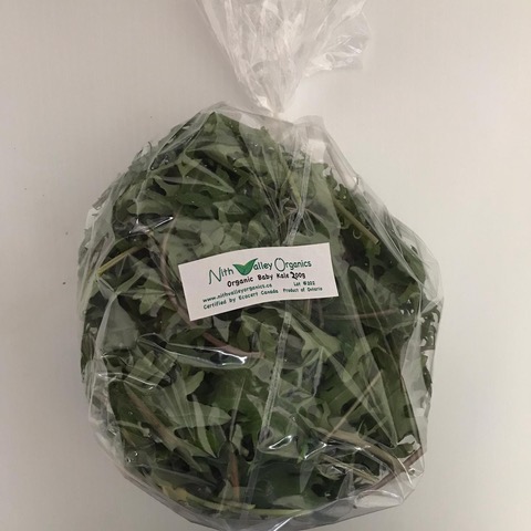 Certified Organic 200g Baby Kale