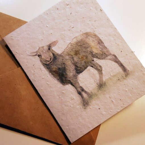 East friesian lamb - seed paper greeting card