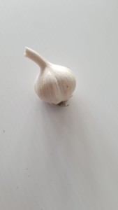 Nith garlic bulb