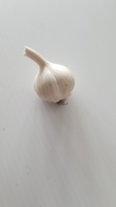 Nith Garlic Bulb