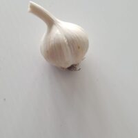 Nith Garlic Bulb