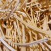 spagetti