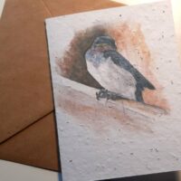Barn Swallow Fledgling - seed paper greeting card